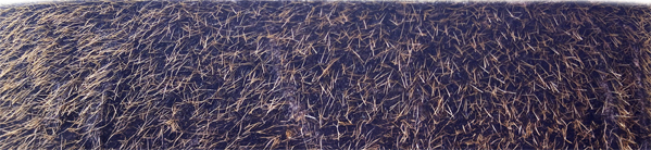 Schneckenstopp, Beflockung in X-Form, Material: Polypropylen, Farbe: schwarz, Inhalt pro PE: 3 m, Länge: 3 m, Breite: 40 mm, Materialstärke: 1,50 mm