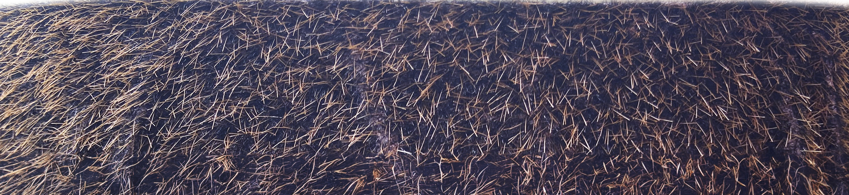 Schneckenstopp, Beflockung in X-Form, Material: Polypropylen, Farbe: schwarz, Inhalt pro PE: 3 m, Länge: 3 m, Breite: 40 mm, Materialstärke: 1,50 mm Schneckenstopp, Beflockung in X-Form, Material: Polypropylen, Farbe: schwarz, Inhalt pro PE: 3 m, Länge: 3 m, Breite: 40 mm, Materialstärke: 1,50 mm