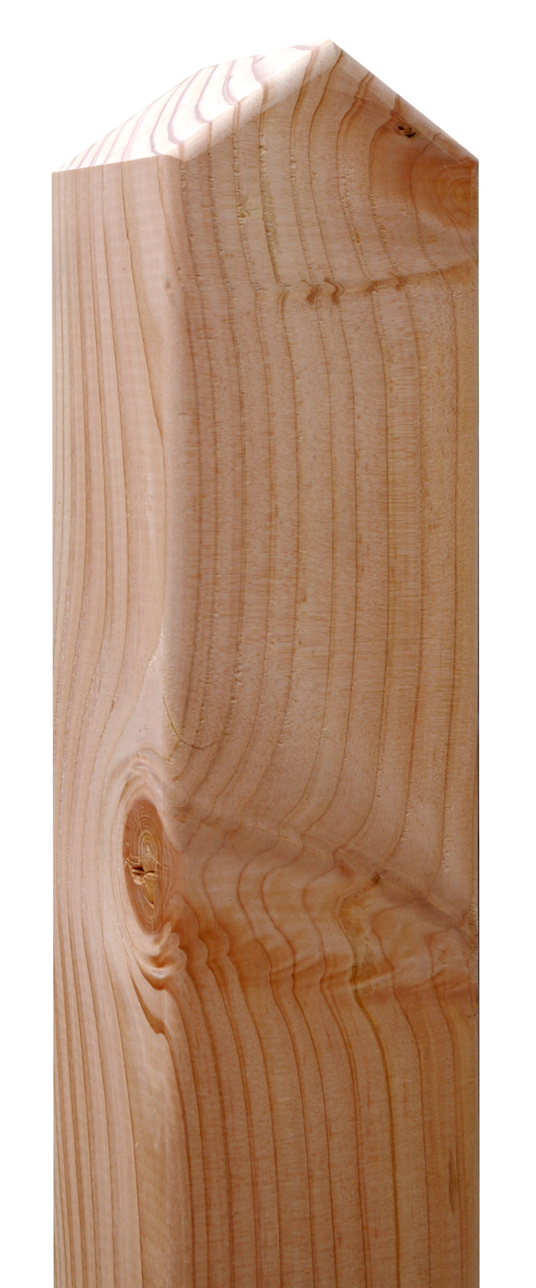 Artikelbild Pfosten/Spitzkopf,Dougl.nat9x9cm 1,90m