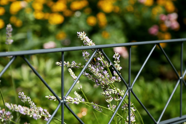 Artikelbild DSM-Set 2m,Dekor Bergen,anth,1400/4 - Slide 4