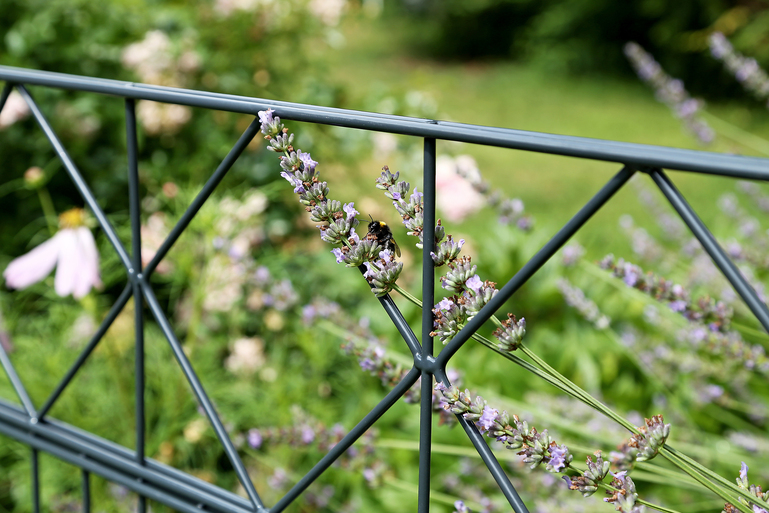 Artikelbild DSM-Set 2m,Dekor Bergen,anth,1400/12 - Slide 5