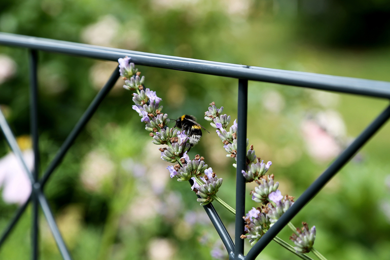 Artikelbild DSM-Set 2m,Dekor Bergen,anth,1400/16 - Slide 3