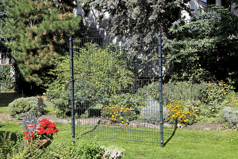 Artikelbild Zaunerhöh./Klemml.Erhard,800,anth,60x40 - Slide 3