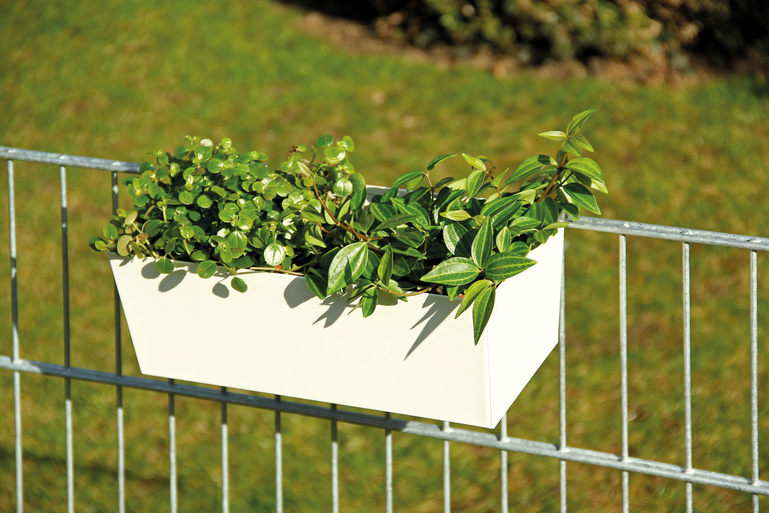 Artikelbild DSM-Clip,VA,SB4St - Slide 6