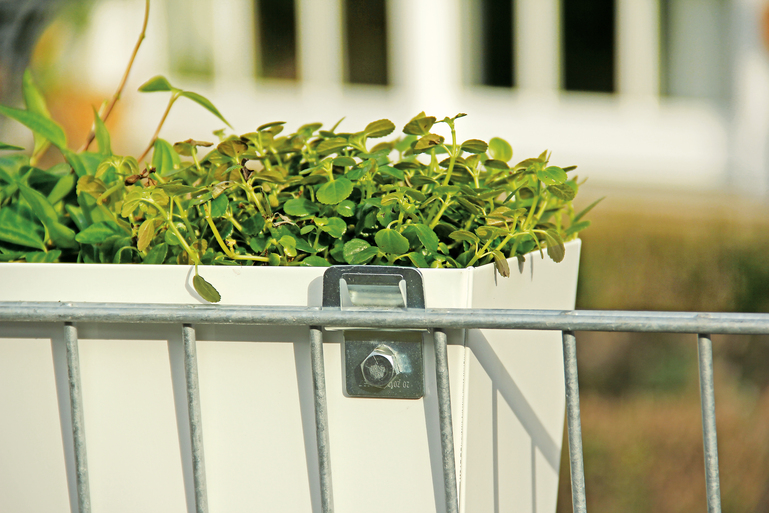 Artikelbild DSM-Clip,VA,SB4St - Slide 7