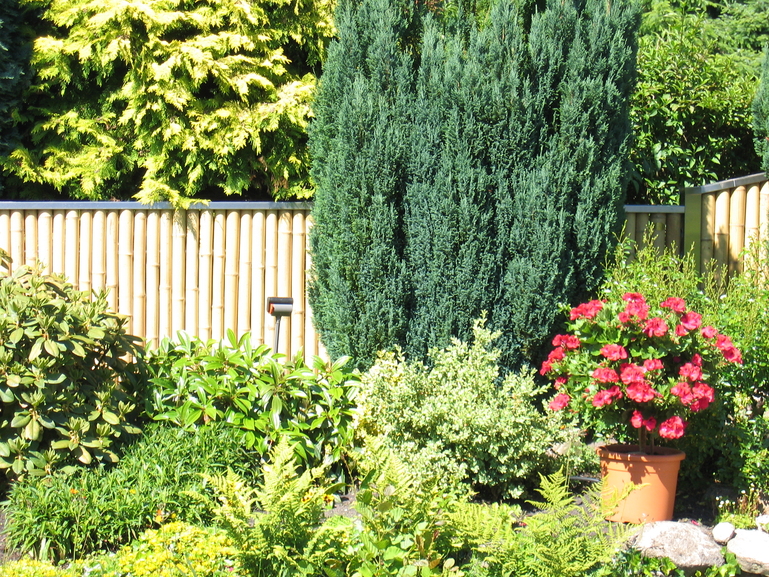 Artikelbild ZF Bambooline,Bambus+VA-Abdeckung90x150 - Slide 6