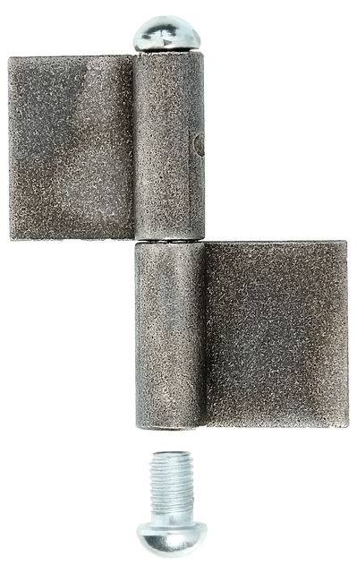 Paumelle longue à souder, Matériau: Acier brut, à souder, Hauteur: 80 mm, Largeur de la bande: 30 mm, Diamètre: 9 mm, Hauteur de la bande: 40 mm, Épaisseur du matériau: 3,00 mm