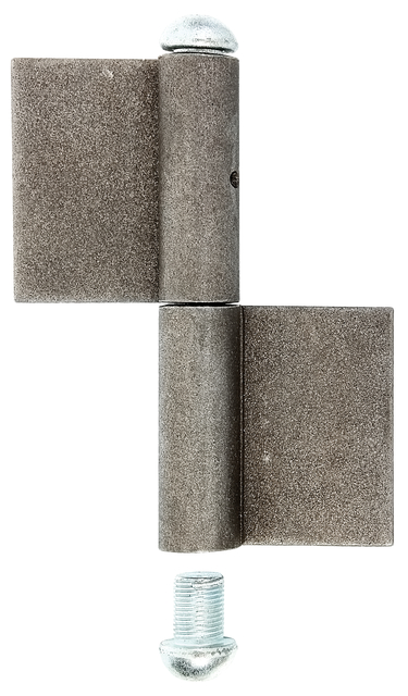 Paumelle longue à souder, Matériau: Acier brut, à souder, Hauteur: 160 mm, Largeur de la bande: 50 mm, Diamètre: 16 mm, Hauteur de la bande: 80 mm, Épaisseur du matériau: 5,00 mm