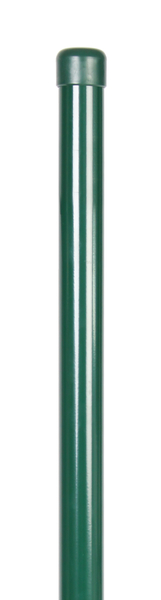 Zaunpfosten, gebohrt, gerade, für Maschendrahtgeflechte, Material: Stahl roh, Oberfläche: sendzimirverzinkt, grün kunststoffbeschichtet RAL 6005, zum Einbetonieren, Länge: 3000 mm, Pfosten-Ø: 60 mm, Wandstärke: 1,75 mm, Anzahl Drahthalter: 6, 15 Jahre Garantie gegen Durchrosten
