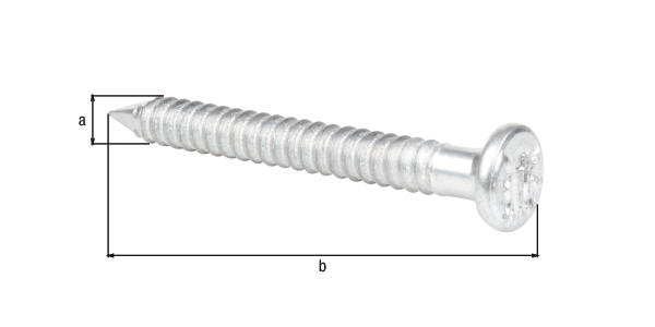 Pointes de fixation, Matériau: Acier brut, Finition: zinguée, paquet grande dimension dans carton, avec marquage selon EN 14592, Contenu par UV: 250 Pièce, Diamètre: 4 mm, Longueur: 40 mm, en paquets grandes dimensions, CutCase