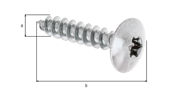 Vis à bois Maxi-Fix, Matériau: Acier brut, Finition: galvanisée, sous blister brochable, Contenu par UV: 4 Pièce, Diamètre: 6 mm, Longueur: 30 mm, Emballé SB Vis à bois Maxi-Fix, Matériau: Acier brut, Finition: galvanisée, sous blister brochable, Contenu par UV: 4 Pièce, Diamètre: 6 mm, Longueur: 30 mm, Emballé SB