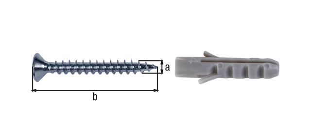 Schrauben- und Dübel-Set, zur Befestigung von Teppichprofilen und Treppenkantenprofilen, Material: Stahl roh, Oberfläche: verzinkt, Inhalt pro PE: 10 St., Länge: 25 mm, Durchmesser: 3 mm, SB-verpackt Schrauben- und Dübel-Set, zur Befestigung von Teppichprofilen und Treppenkantenprofilen, Material: Stahl roh, Oberfläche: verzinkt, Inhalt pro PE: 10 St., Länge: 25 mm, Durchmesser: 3 mm, SB-verpackt
