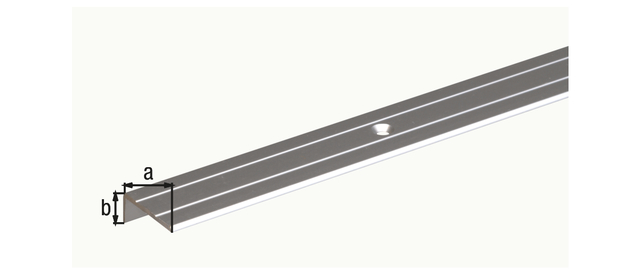 Stair nosing, with countersunk screw holes, Material: Aluminium, Surface: silver anodised, Width: 25 mm, Height: 10 mm, Length: 1000 mm, Material thickness: 1.50 mm Stair nosing, with countersunk screw holes, Material: Aluminium, Surface: silver anodised, Width: 25 mm, Height: 10 mm, Length: 1000 mm, Material thickness: 1.50 mm