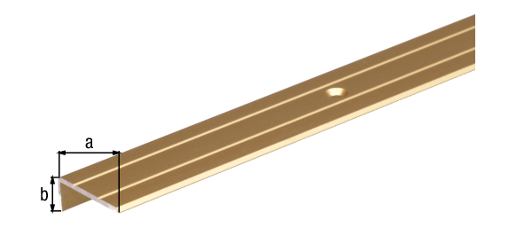 Stair nosing, with countersunk screw holes, Material: Aluminium, Surface: gold anodised, Width: 25 mm, Height: 10 mm, Length: 1000 mm, Material thickness: 1.50 mm