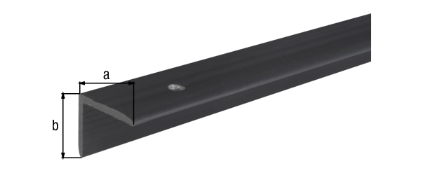 Nez de marche antidérapant, avec trous de vis fraisés, Matériau: Plastique, couleur noir, Largeur: 25 mm, Hauteur: 20 mm, Longueur: 1000 mm, Épaisseur du matériau: 2,00 mm Nez de marche antidérapant, avec trous de vis fraisés, Matériau: Plastique, couleur noir, Largeur: 25 mm, Hauteur: 20 mm, Longueur: 1000 mm, Épaisseur du matériau: 2,00 mm