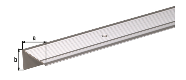 Stair nosing, with countersunk screw holes, Material: Aluminium, Surface: silver anodised, Width: 45 mm, Height: 23 mm, Length: 1000 mm, Material thickness: 2.50 mm Stair nosing, with countersunk screw holes, Material: Aluminium, Surface: silver anodised, Width: 45 mm, Height: 23 mm, Length: 1000 mm, Material thickness: 2.50 mm