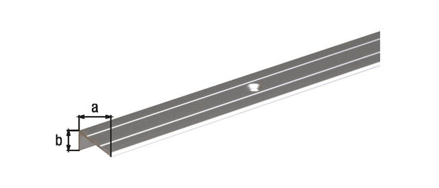 Stair nosing, with drill holes, with countersunk screw holes, Material: Aluminium, Surface: silver anodised, Width: 24.5 mm, Height: 10 mm, Length: 1000 mm, Material thickness: 1.50 mm, Retail packaged Stair nosing, with drill holes, with countersunk screw holes, Material: Aluminium, Surface: silver anodised, Width: 24.5 mm, Height: 10 mm, Length: 1000 mm, Material thickness: 1.50 mm, Retail packaged