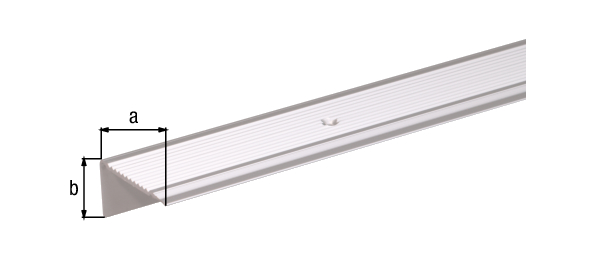 Nez de marche percé, avec trous de vis fraisés, Matériau: Aluminium, Finition: couleur argent, anodisée, Largeur: 45 mm, Hauteur: 23 mm, Longueur: 1000 mm, Épaisseur du matériau: 2,50 mm, Emballé SB Nez de marche percé, avec trous de vis fraisés, Matériau: Aluminium, Finition: couleur argent, anodisée, Largeur: 45 mm, Hauteur: 23 mm, Longueur: 1000 mm, Épaisseur du matériau: 2,50 mm, Emballé SB