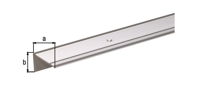Nez de marche percé, avec trous de vis fraisés, Matériau: Aluminium, Finition: couleur argent, anodisée, Largeur: 45 mm, Hauteur: 23 mm, Longueur: 1000 mm, Épaisseur du matériau: 2,50 mm, Emballé SB Nez de marche percé, avec trous de vis fraisés, Matériau: Aluminium, Finition: couleur argent, anodisée, Largeur: 45 mm, Hauteur: 23 mm, Longueur: 1000 mm, Épaisseur du matériau: 2,50 mm, Emballé SB