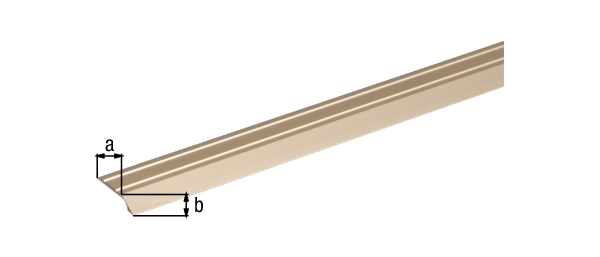 Levelling profile, self-adhesive, Material: Aluminium, Surface: sand anodised, Width: 30 mm, Height: 6 mm, Length: 900 mm, Material thickness: 2.00 mm, Retail packaged