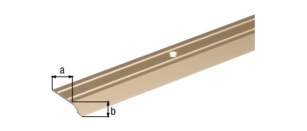 Ausgleichsprofil, gebohrt, mit versenkten Schraublöchern, Material: Aluminium, Oberfläche: sandfarbig eloxiert, Breite: 39 mm, Höhe: 10 mm, Länge: 900 mm, Materialstärke: 2,00 mm, SB-verpackt