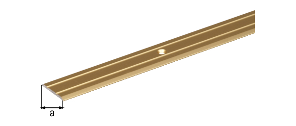 Barra para suelo, agujereada, con agujeros para atornillar avellanados, Material: Aluminio, Superficie: anodizado plateado, Anchura: 38 mm, Longitud: 900 mm, Espesura del material: 1,00 mm, Embalado SB Barra para suelo, agujereada, con agujeros para atornillar avellanados, Material: Aluminio, Superficie: anodizado plateado, Anchura: 38 mm, Longitud: 900 mm, Espesura del material: 1,00 mm, Embalado SB